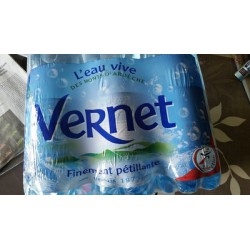 Vernet Eau Gazeuse Pet 6X1L25