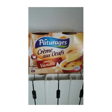 Pat.Creme Oeufs Vanille 8X100G