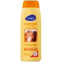 Labell Shp Vanille 400Ml