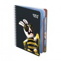 Cahi.Texte Lapins Cretin17X22