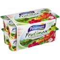 Pat Yt Panache Fruits 16X125G