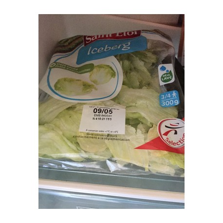 Saint Eloi Laitue Iceberg 300G
