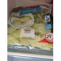 Saint Eloi Laitue Iceberg 300G