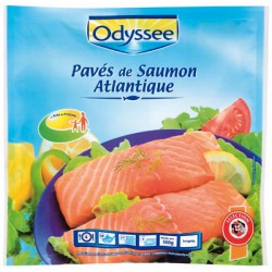 Odysse Paves Saumon X4 500G