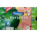 Pat.Lt Ferm.Bifidus Aro12X125G