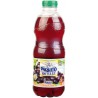 Paquito Pur Jus Raisin Pet 1L