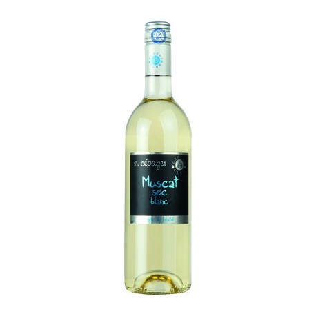 Vin de pays oc Muscat Sec Blc Exp.Club