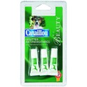 Canaillou.Chien.Gouttes.Insect