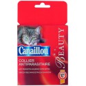 Canaillou.Chat.Collier.Insect