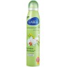 Labell Deo Orchidee Bambou 200
