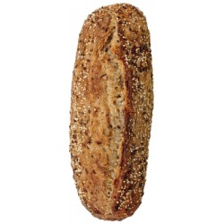 Campa Pain 5Cer/Grn Biopr/300G