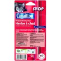 Canaillou.Chat.Herbe.A.Chat