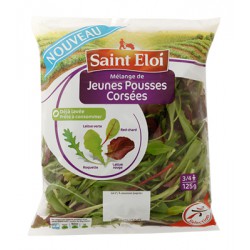 Saint Eloi Jeun.Pouss.Corsees 125G