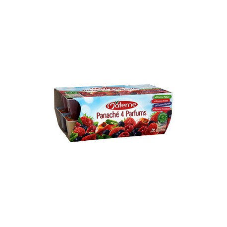 16X100G Panache 4 Fruits Rouges Classiques Materne