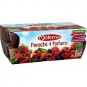 16X100G Panache 4 Fruits Rouges Classiques Materne