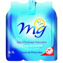 Magnesienne E.Min.Nat Pet 6X1L