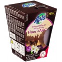 Apta Bougie Fleurs D Asie