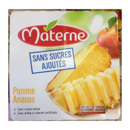 Materne Ssa Pm Ananas 4X97G