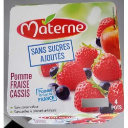 Materne Ssa Pm Frs Cass 4X100G