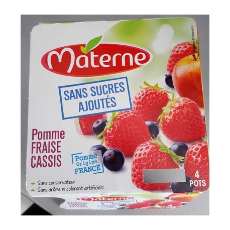 Materne Ssa Pm Frs Cass 4X100G