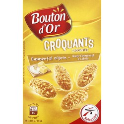 Bo Bisc.Emmental Oignon 100G