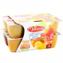 Sans Sucres Ajoutes Panache Pomme 3X100G + P.Poire 3X100G+P
