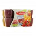 Pack 12X100G Dessert Panache Sans Sucre Ajoute Materne