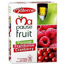 Pack 4X120G Gourde Pomme/Framboise/Cranberries Materne