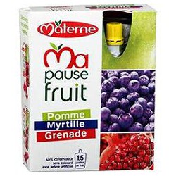 Pack 4X120G Gourde Dessert Pomme/Myrtille/Grenade Materne