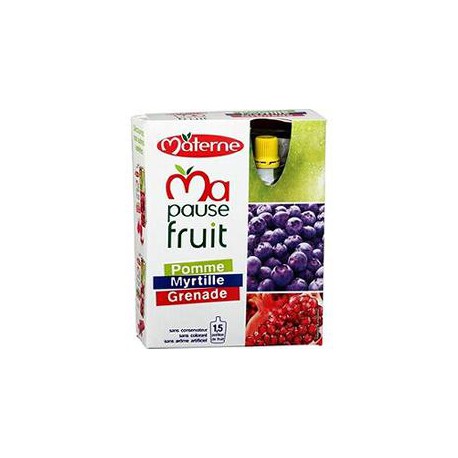 Pack 4X120G Gourde Dessert Pomme/Myrtille/Grenade Materne