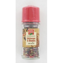 Moulin Poivre 5 Baies Grains 28G Belle France