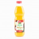 Pet 1L Nectar Mangue Bf