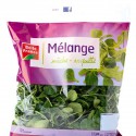 Sachet Mache/Roquet.100Bf