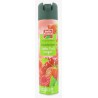 Aero Desod.Fruit Rouge Bf
