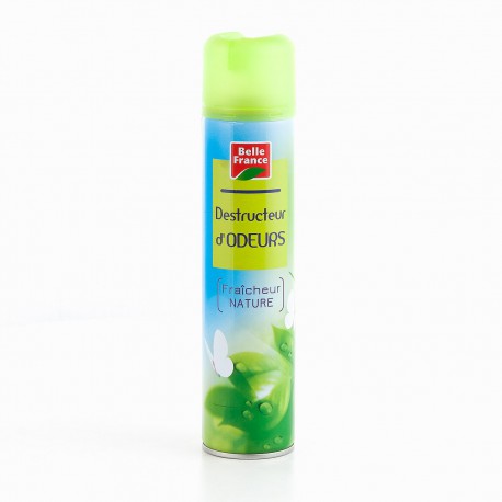 Aero Destr.Odeur 300Ml Bf