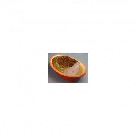 Kg Terrine Canard Ancienne