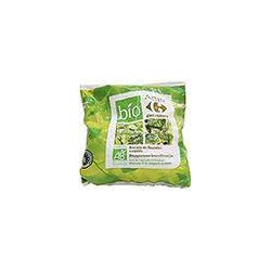 600G Brocolis Fleur.Carf.Bio