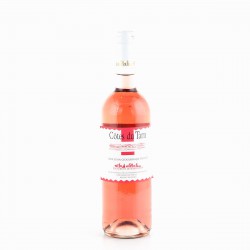 Cotes Du Tarn Rose 75Cl
