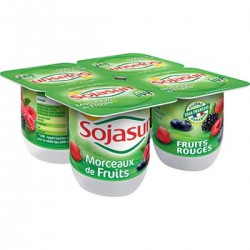 4X100G Sojasun Fruits Des Bois