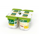Y.Bifidus Citron X4 Vrai