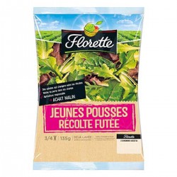 Sal.Futee J.Pous.135 Flor
