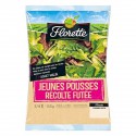 Sal.Futee J.Pous.135 Flor