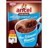 70G Gateau Mini Chocolat Lait Ancel