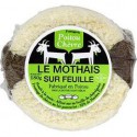 180G Mothais Sur Feuille Filme