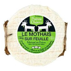180G Mothais Sur Feuille