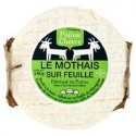 180G Mothais Sur Feuille