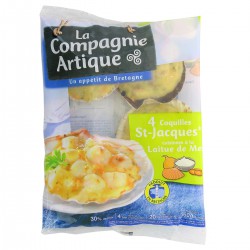 360G 4 Coquilles Laitue De Mer Sill Artique