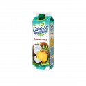 Jus Refr.1L Anan-Coco C.A