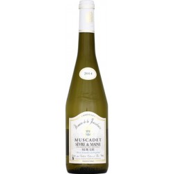 Musc.S&M Lie Dom Jousselin.75C
