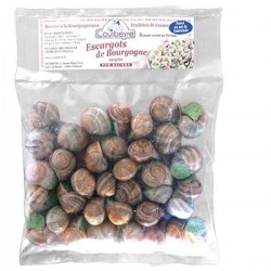 Escarg.Pomatia Moyen X36